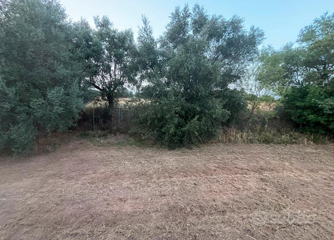 Terreno agricolo - Vista 3