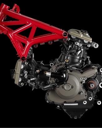 Telaio Monster 1200S con documenti e targa