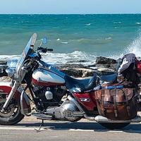 Harley Davidson Road King 1340 carburatore