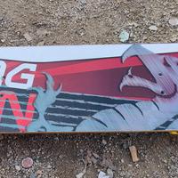 Skateboard usato pochissimo 