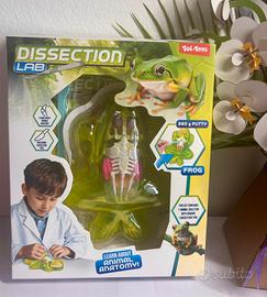 Dissection Lab FrogGioco Scientifico Anatomia Rana