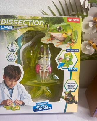 Dissection Lab FrogGioco Scientifico Anatomia Rana