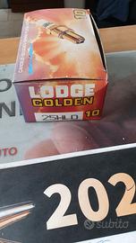 Candele accensione LODGE 25HLD