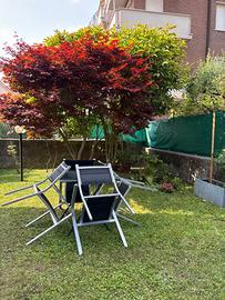 Appartamento in villetta bifamiliare