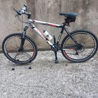 bicicletta bottecchia 