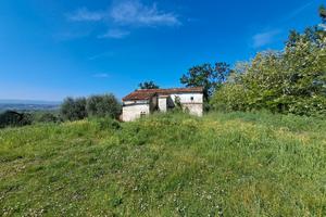 Casale in magnifica posizione Palaia Pisa