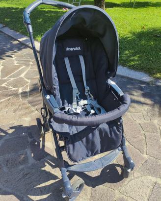 Trio Prenatal Stone blu