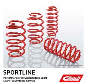 Molle Eibach SportLine - Volkswagen Polo AW e GTI