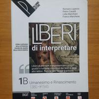 libro di italiano (liberi di interpretare) 