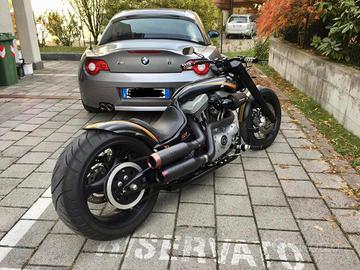 Harley Davidson Custom Bike