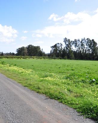 Azienda agricola con agriturismo e agricampeggio