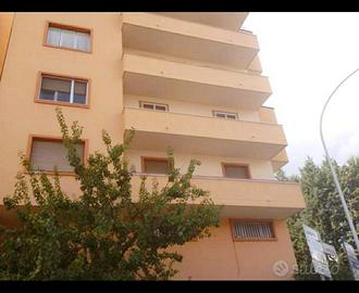 Camere singole luminose a studentesse