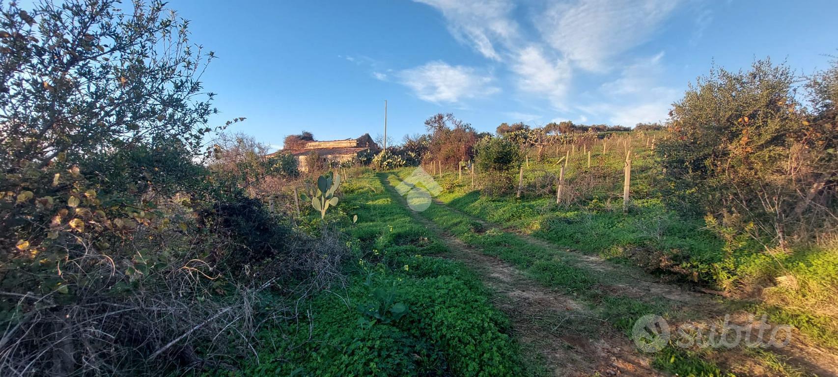 TER. AGRICOLO A ALCAMO - Vista 3