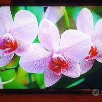 Smart tv Lg 43" Pollici 4k