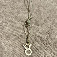 Collana segno zodiacale Toro in argento