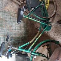 Bici donna con cestino.