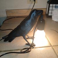 Lampada corvo