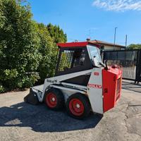 P184-MINI PALA JOLLY 17q