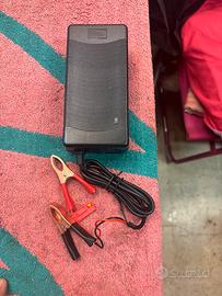 Carica batterie litio life po 4