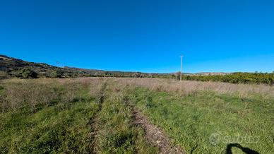 Zona Monasteri terreno agricolo (pianeggiante)