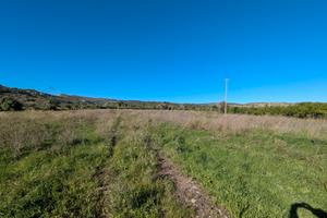 Zona Monasteri terreno agricolo (pianeggiante)