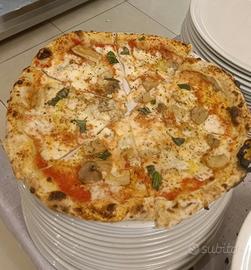 pizzaiolo/pianificatore 