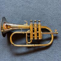 Flicornino in mib Orsi