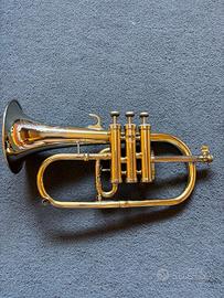 Flicornino in mib Orsi