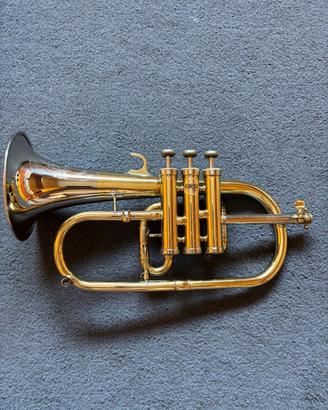 Flicornino in mib Orsi
