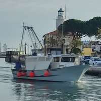 Barca da pesca con licenza - Peschereccio