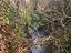 Immagine 26