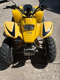 Quad 200cc anno 2010 targato e pronto al uso