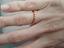 Immagine 5