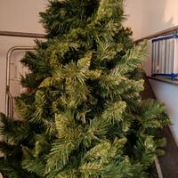 albero di natale 