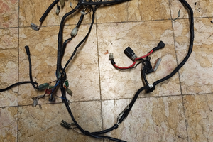 Pezzi next generation