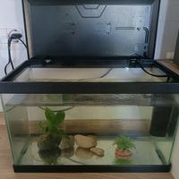 piccolo acquario 16 litri 