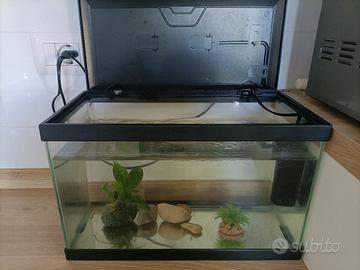 piccolo acquario 16 litri 