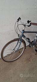 Bici olmo
