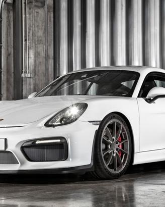 Paraurti anteriore GT4 Porsche Boxter/Cayman 981
