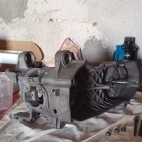 carter Minarelli orizzontale