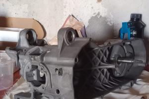 carter Minarelli orizzontale