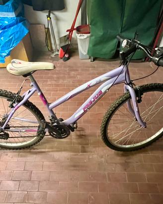 Mountain bike