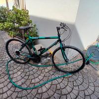 Mountain Bike Girardengo – Cambio Shimano – 26"