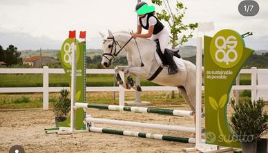 Pony da salto