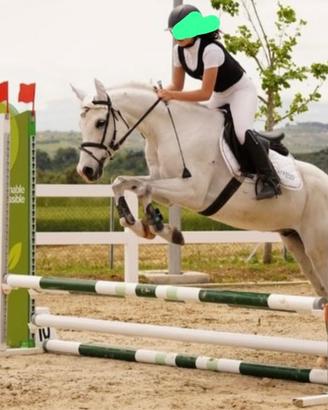 Pony da salto