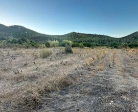 Muravera Terreno Agricolo pianeggiante