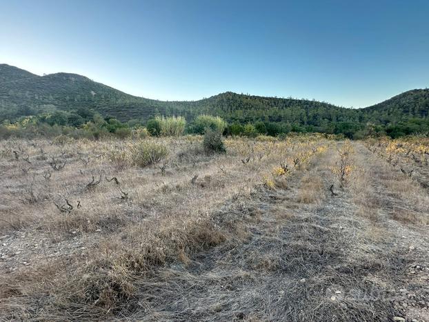 Muravera Terreno Agricolo pianeggiante