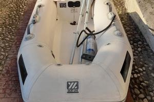 Tender Zodiac YL220R