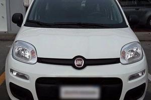 Fiat panda ricambi anno 2019 #244