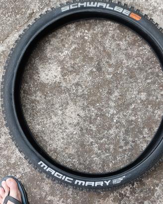 pneumatico schwalbe ebike magic mary 